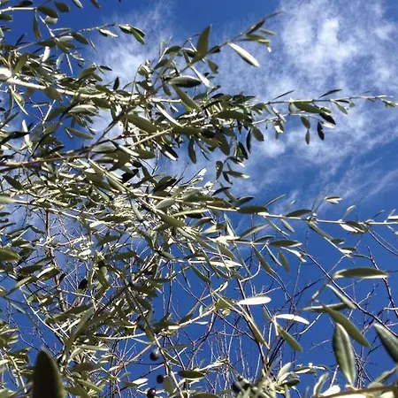 Casa de Férias Casa Ubaga