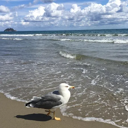 Casa Ubaga Casa de Férias *