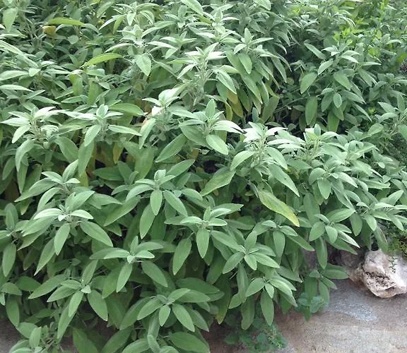 Casa Ubaga Semesterbostad *